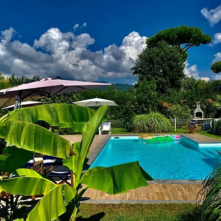 Apartman Oasis *